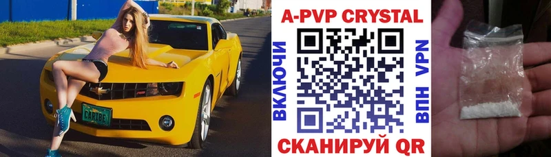 Альфа ПВП СК КРИС  Сунжа 