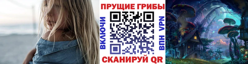 Псилоцибиновые грибы мухоморы  хочу наркоту  Сунжа 